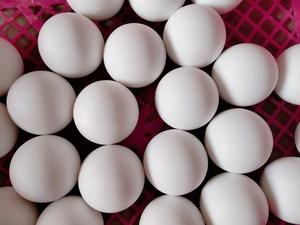 Bola de Teflón PTFE Sólida Mixta, Baja Fricción, Excelente Resistencia Química - Product Image 4