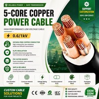 Cable de Alimentación de Cobre Libre de Oxígeno de 5 Núcleos, 0.6/1kV, Aislamiento XLPE, Cable Eléctrico Subterráneo para Distribución de Energía Trifásica