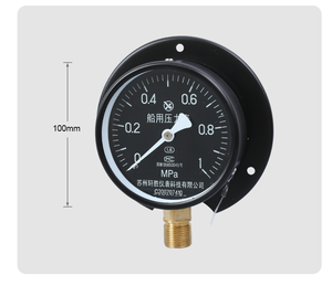 ราคาโรงงาน -0.1-100MPa เกจวัดแก๊สแบบดิจิตอล วัสดุสแตนเลสเรืองแสง รองรับแรงดันสูงสุด 60MPa - Product Image 1