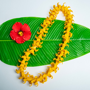 Groothandel Fabriek Leverancier HL0046A Bloemige Hula Meisjes Ketting Hoge Kwaliteit 2 Kleuren 100 CM Schuim Puakenikeni Lei voor Vrouwen - Product Image 1