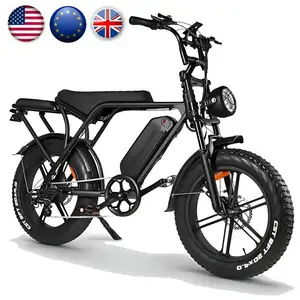 低価格優れたファットタイヤ電動自転車EUUSA倉庫48v15AhスチールハイブリッドバイクモーターEbike 73V8