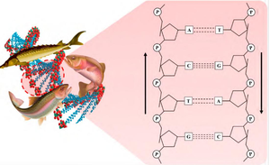 <span class=keywords><strong>Injection</strong></span> efficace de PDRN 5x3ml pour les peaux sujettes à la rosacée et la cicatrisation des lésions d'acné - Product Image 5