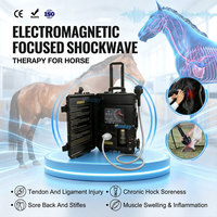 Máquina de Terapia de Ondas de Choque para Alivio del Dolor Equino, Sistema Avanzado de Ondas de Choque Enfocadas para Soporte de Curación Veterinaria