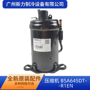 Compresor de Aire Acondicionado GIGCLY BSA645DT-R1EN HC0286181777 Refrigerante R134a 230V 50Hz Pieza de Repuesto Nueva - Product Image 4