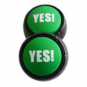 Boutons sonores et boutons audio en plastique OEM en gros, à piles, pour l'éducation et le divertissement des jeunes - Product Image 5