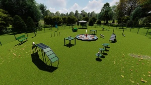 Equipo de actividades de parque para perros fuera del patio trasero perrito cachorro perro curso de entrenamiento de agilidad conjunto patio de juegos producto de obstáculos para la venta - Product Image 2