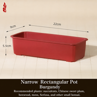 Pot de fleurs en résine plastique en forme de tulipe pour plantes succulentes et bonsaïs, design rectangulaire avec plusieurs trous de drainage, pour usage sur rebord de fenêtre et bureau