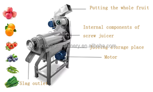 Exprimidor profesional de alta eficiencia, máquina extractora de prensa de tornillo, máquina extractora de exprimidor Industrial, máquina exprimidora de naranja - Product Image 6