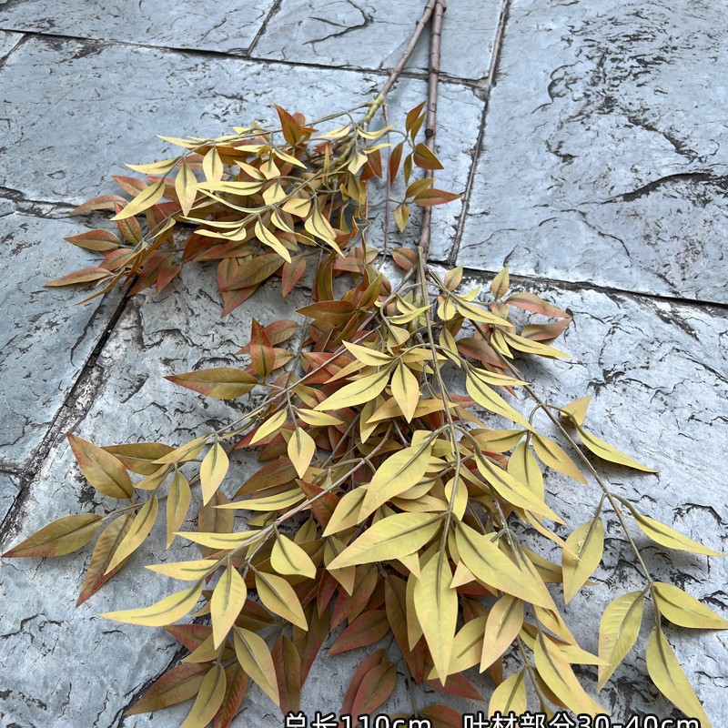 Superbe texture de couleur tianzhu-automne du sud