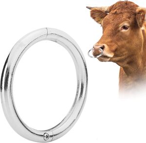 2 boyutu buzağı Weaner sağım dur burun halkası çiftlik boğa burun halkası inek çekiş burun daire eğitim taşıma için - Product Image 3