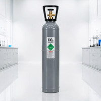 Cilindro de Gas de Dióxido de Carbono CO2 ISO9809, 40L 50L 150Bar, Botella de Gas Industrial de Acero sin Costuras de Alta Presión, Precio de Fábrica