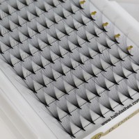 Extensions de cils pré-faits Promade Fans 6D-20D 0.03 0.05 0.07 à base fine et pointue, pour un volume rapide et intense, fournitures pour extensions de cils.