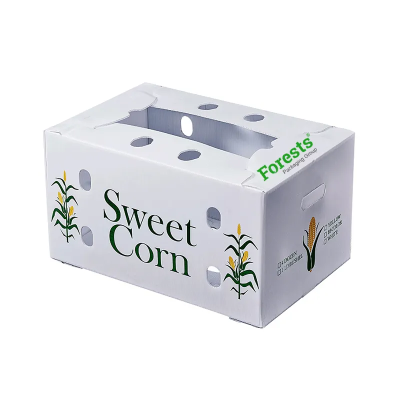 Corrugated Paper Single Wall 3 Ply Corrugated Flute Paper Colorful Box Fruit Corn Broccoli Durian Vegetable Packaging Box
