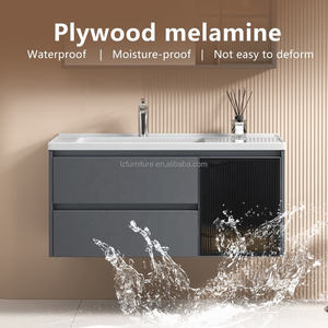 Modern Bathroom <b>Vanity</b> Unit Cabinet with Ceramic Wash Basin LED <b>Light</b> <b>Mirror</b> Wall-Mounted for Hospital and Apartment Use - Product Image 5
