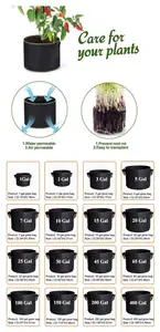 Hot Sale 1 3 5 7 10 20 30 50 100 200Gallon Planter Grow Bags Aeration Pots Potato Fabric Plant Grow Bags Gardening Pots Planters