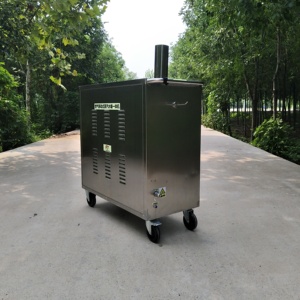 Máquina de Lavado de Autos a Vapor Móvil para Talleres de Lavado de Autos, Pequeña Máquina de Limpieza Multifuncional a Gas - Product Image 3