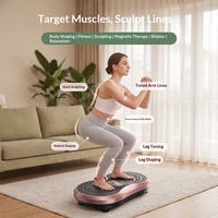 Machine de vibration corporelle intégrale brûle-graisse, shaker haute puissance pour les passionnés de fitness, usage domestique, matériau PC, charge maximale 120 kg
