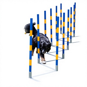 FCI <span class=keywords><strong>Dog</strong></span> <span class=keywords><strong>Agility</strong></span> Long Jump Set Équipement de formation de saut de chien en plastique - Product Image 4