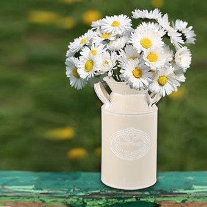 Forniture di arti e mestieri in metallo caraffa di fiori vaso di <span class=keywords><strong>anfora</strong></span> accessori per fioriere con Logo personalizzato contenitore imballaggio/giftpackin - Product Image 1