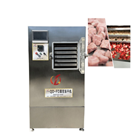 Qd Hot Selling Vriesdrogen Lyofilisator Machine Industriële Groenten En Fruit Vacuüm Vriesdroger Prijs