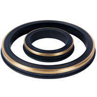 HNBR Gummi-Lippendichtung Fig 602 Messingring für Hochtemperatur-Ölfeldanwendungen Chemikalienbeständig 15.000 PSI API