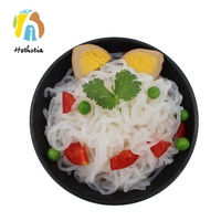 Konjac aliments, 24 pièces, pâtes, spaghetti, nourriture, shataki