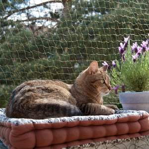 شبكة حماية للقطط للشرفات 3×8 متر، شبكة سلكية مقاومة للعض، شبكة أمان سوداء للقطط للاستخدام الخارجي - Product Image 1