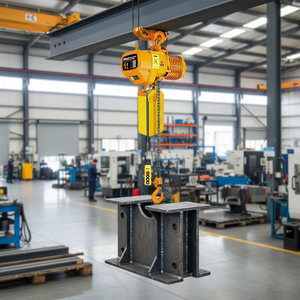 Remote Control 0.5 <span class=keywords><strong>Ton</strong></span> <span class=keywords><strong>1</strong></span> <span class=keywords><strong>Ton</strong></span> 3 <span class=keywords><strong>Ton</strong></span> <span class=keywords><strong>4</strong></span> <span class=keywords><strong>Ton</strong></span> 5 <span class=keywords><strong>Ton</strong></span> Light Duty listrik rantai <span class=keywords><strong>Hoist</strong></span> Lift untuk dijual - Product Image 1