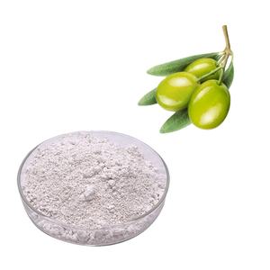 オリーブ葉エキス10% 20% 30% マスリン酸メーカー供給 - Product Image 1