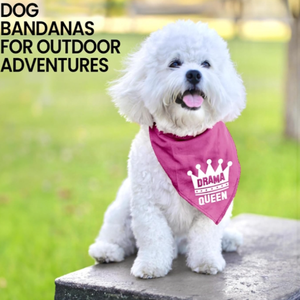 Bandana pour chien ajustable unisexe, mouchoir triangle, bavoir jaune imprimé «Born Run», accessoire de vêtements pour animaux de compagnie lavable et mignon - Product Image 4