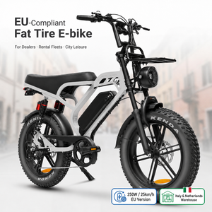 QMHEEL V20 Limited, Bicicleta Eléctrica Urbana de 48V con Batería de Litio, Fatbike Eléctrica, Distribuidor en Italia, Venta al Por Mayor, Stock B2B - Product Image 1