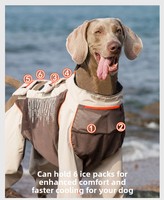 Chaleco Refrigerante para Perros, Ligero, de Malla Transpirable, de Secado Rápido, Resistente a las Manchas, con Protección Solar UPF 50+ para Todo el Cuerpo, 4 Patas, para Verano