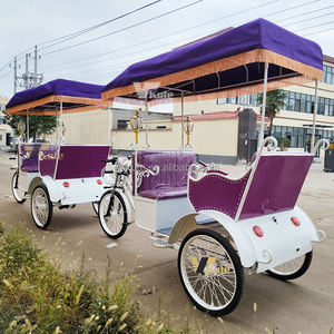Tricycle électrique à trois roues avec cadre en acier, vélo cargo électrique, Lasten Triciclo - Product Image 2