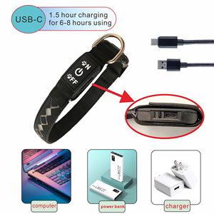 Collier LED pour animaux de compagnie rechargeable par USB, à motif de patte de chien 3D, en sangle de polyester et de caoutchouc confortable, très vendu - Product Image 5