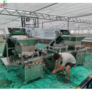 Semoir professionnel efficace pour plateaux de semis à rouleaux, distributeur de <span class=keywords><strong>graines</strong></span> pour plateaux de culture <span class=keywords><strong>d</strong></span>'<span class=keywords><strong>oignons</strong></span> - Product Image 3