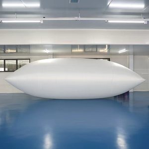 <strong>20ft</strong> <strong>Container</strong> Flexitank 24000L PE Material Food Grade Bulk Liquid Storage for Industrial Loading Fish Oil - Product Image 4