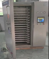 Máquina de Liofilización Comercial para Frutas/Fresas/Mango, Equipo de Secado por Congelación