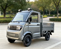 Pick-up et fourgon électrique à 4 roues, nouvelle énergie, moteur haute puissance, autonomie de 100 km, robuste pour le transport agricole