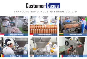 Saucisse certifiée CE à haute efficacité Baiyu faisant la machine Machine <span class=keywords><strong>de</strong></span> remplissage <span class=keywords><strong>de</strong></span> saucisses pour l'usine <span class=keywords><strong>de</strong></span> traitement <span class=keywords><strong>de</strong></span> la viande - Product Image 5
