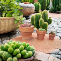 Mini pots en terre cuite et en céramique pour cactus, conçus pour les plantes d'intérieur, pour la maison et les pépinières, avec supports de sol