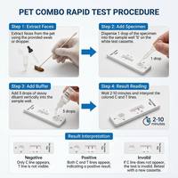 Kit de Prueba Rápida PTGV-Ag de Alta Sensibilidad, Identificación Eficiente de Patógenos Porcinos, Suite de Diagnóstico de Gastroenteritis Transmisible por Cerdos