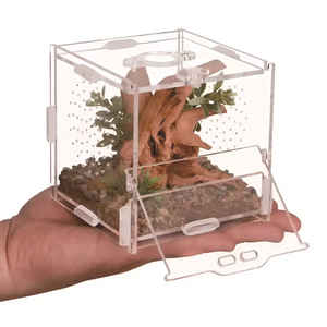 Caja de Cría para Reptiles Pequeños, Recinto Cúbico para Arañas, Mantis, Arañas Saltadoras, Tarántulas y Lagartos - Product Image 1