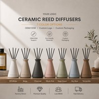 Diffuseur de parfum d'ambiance en céramique non toxique de qualité supérieure, en forme de vase, avec parfum de rose, pour chambre d'hôtel de luxe