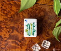 Braunes Safari-Tier-Motiv Amerikanisches Acryl Modernes Mahjong-Set Giraffe Elefant Zebra Schlange Blumen Laternen-Druck Tragbar