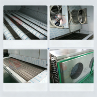 IQF Tunnelvriezer Vriesapparatuur Tunnel Blast Freezer Fabriek Geleverde Diepvries Lam/Sardine Vis Machine Te Koop