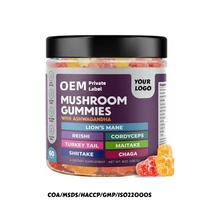 Gummies Supplémentaires aux Champignons : Extrait Multi-Champignons (Chaga, Reishi, Cordyceps, Crinière de Lion) – Vitamines à Croquer