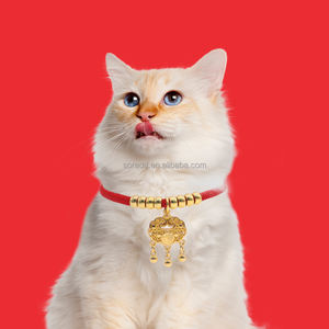 Festliche geflochtene Seil Hund & Katze Halsband mit Langlebig keit <span class=keywords><strong>Lucky</strong></span> Charm Anhänger, Legierung Gold Haustier Halskette für Neujahrs geschenke - Product Image 6