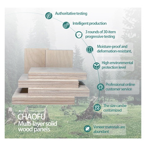Pannello in Legno LVL 4x8 Piedi di Qualità Export, in Pioppo, Pino, Eucalipto, Betulla, per Telai di Porte e Finestre Moderni, Senza Formaldeide E0 - Product Image 2