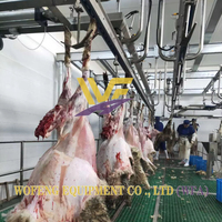 Machine d'abattage d'agneaux, abattoir pour chèvres, abattoir pour moutons