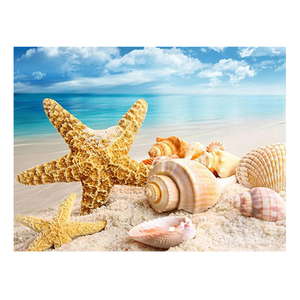 Meilleure vente perceuse complète 5d peinture au <span class=keywords><strong>diamant</strong></span> étoile de mer conque sur la plage bricolage <span class=keywords><strong>Kit</strong></span> de <span class=keywords><strong>broderie</strong></span> au <span class=keywords><strong>diamant</strong></span> adapté aux débutants - Product Image 1